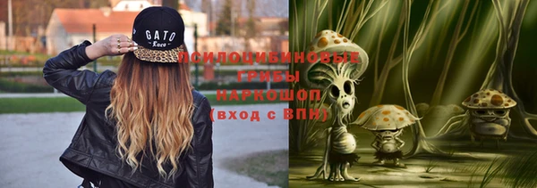 прущие крисы Бронницы