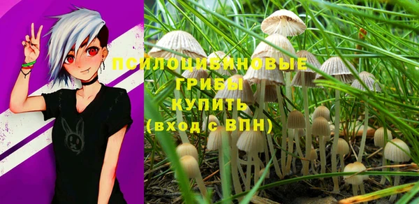 прущая мука Бородино