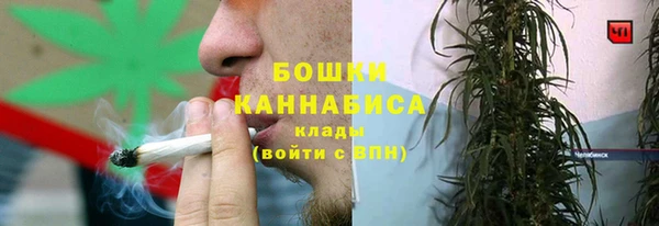 молекула духа Богородск