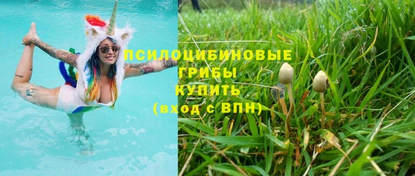прущая мука Бородино