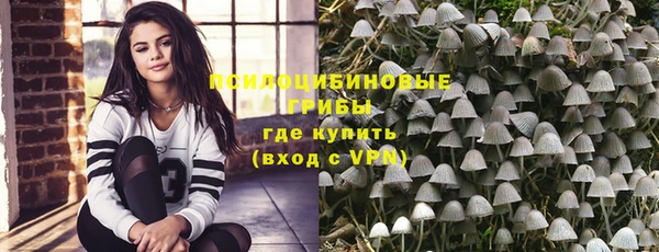 молекула духа Богородск