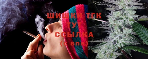 молекула духа Богородск