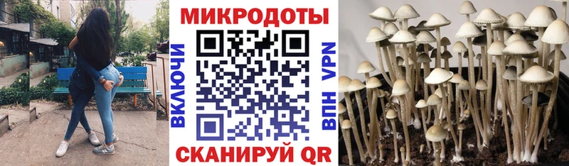 Купить закладки Баксан Галлюциногенные грибы прущие грибы